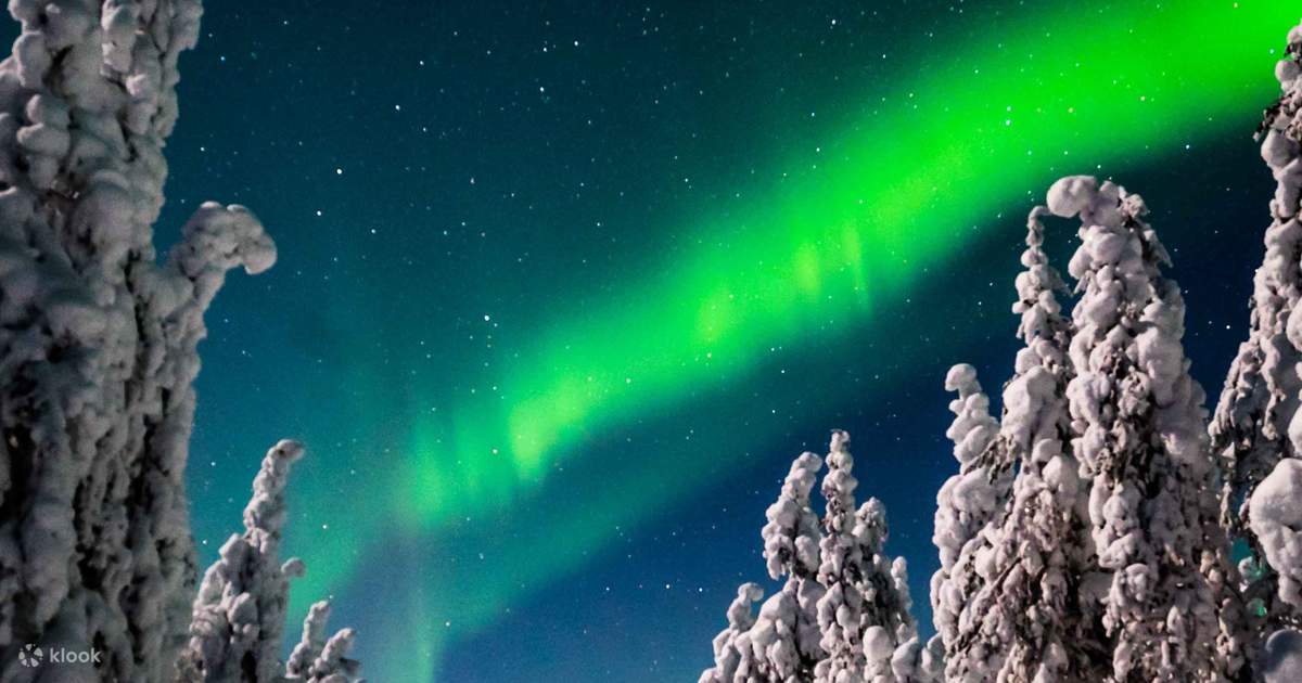 Discover the northern lights tour in Rovaniemi Klook United States